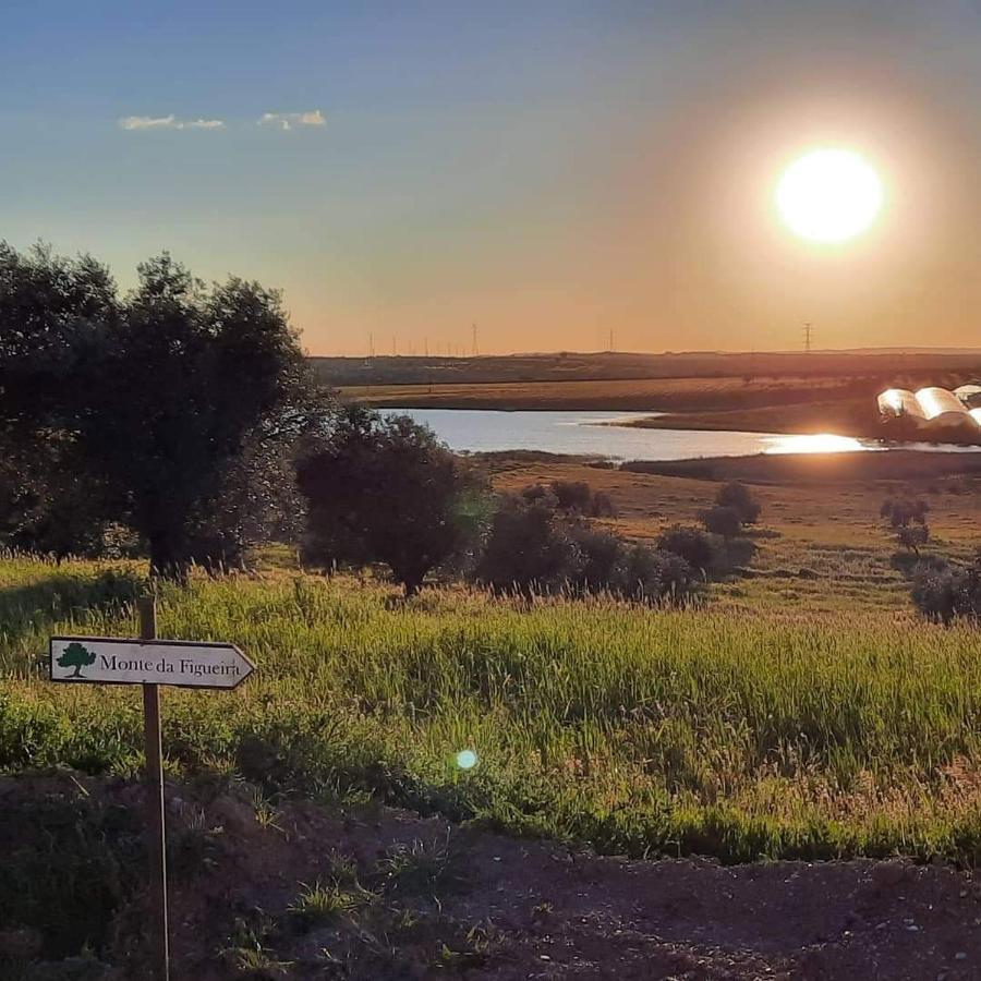 Вилла Monte Da Figueira Amareleja Экстерьер фото